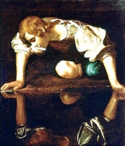 Narcissist Narcissist